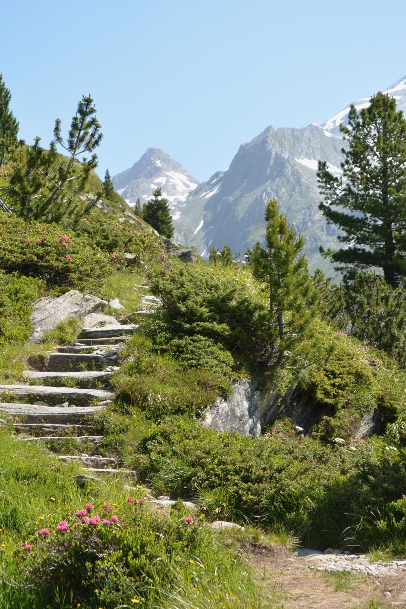 Apparthotel "Landhaus Veronika" Mayrhofen Εξωτερικό φωτογραφία